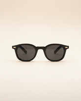 Sunglasses Classic Frame Signature