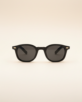Sunglasses Classic Frame Signature