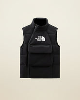 TNF  Quilted Vest
